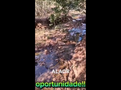 Chácara Com Córrego - Aceita Negociação